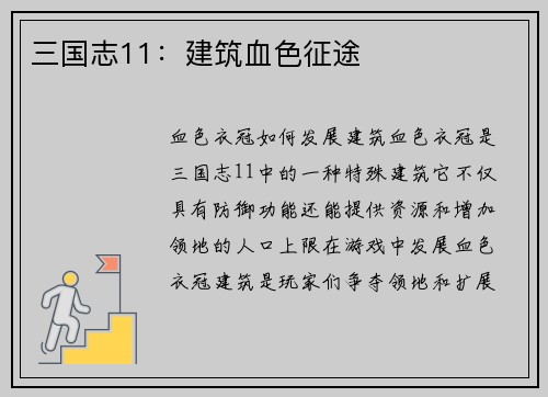 三国志11：建筑血色征途